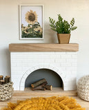 Whimsy Fireplace