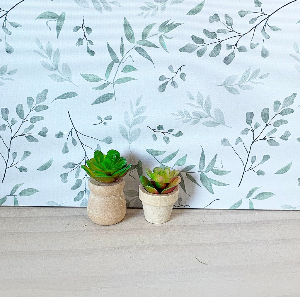 Mini Succulent