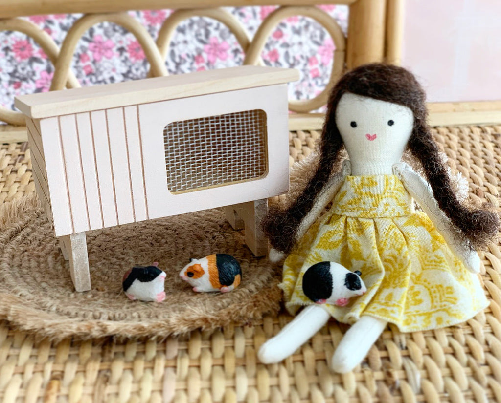 Guinea Pig Hutch with Piggies